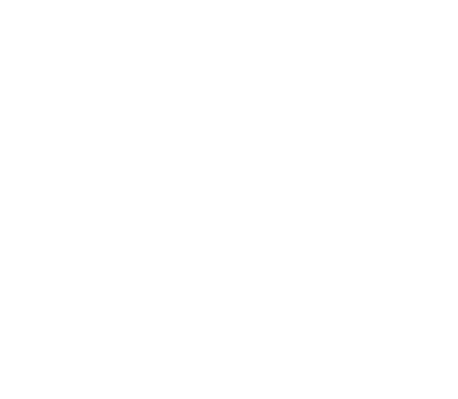 Opex Electrique